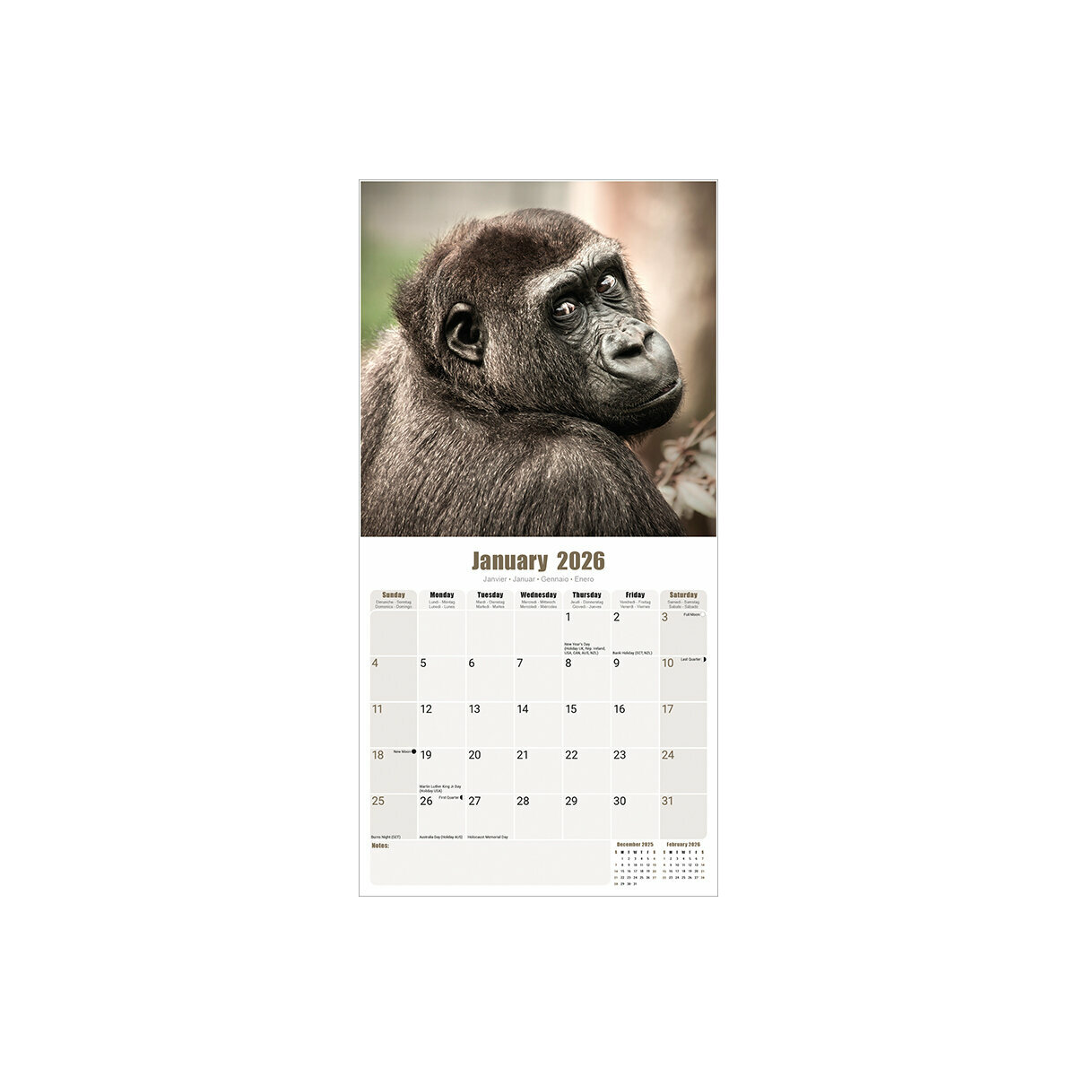 Calendrier Mural 2025 Singe Primate Gorille Chimpanzé