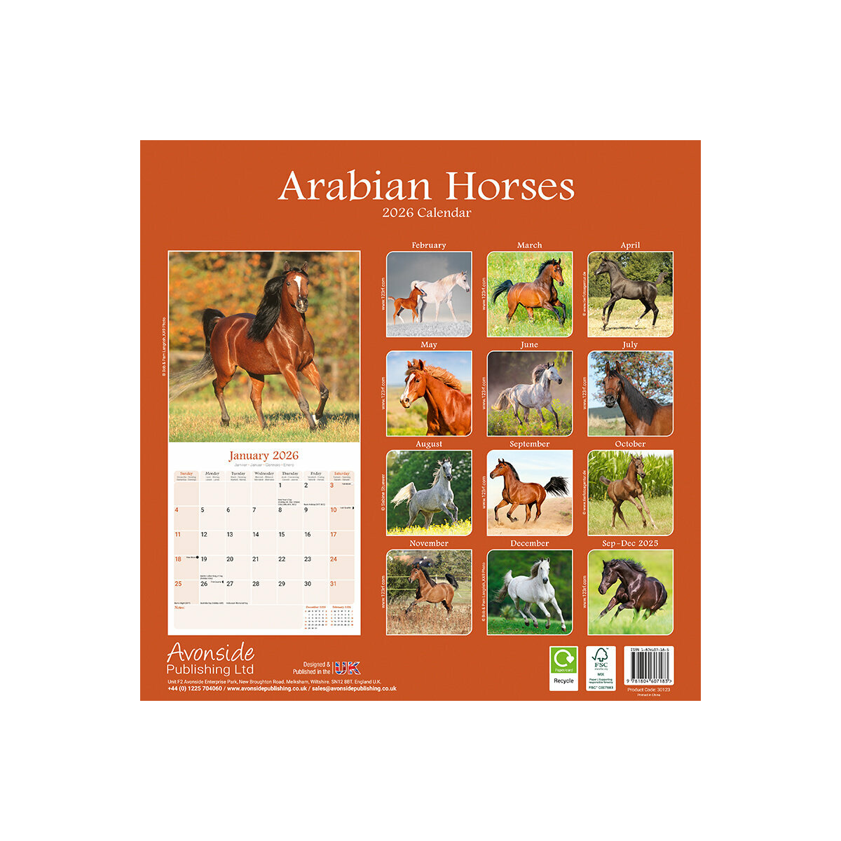 Calendrier 2025 Chevaux Et Poneys - Mural, Mensuel, Photos Qualité Supérieure
