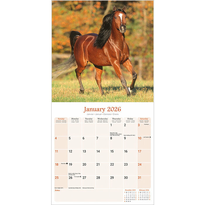 Calendrier Papier 2026 Chevaux Arabes