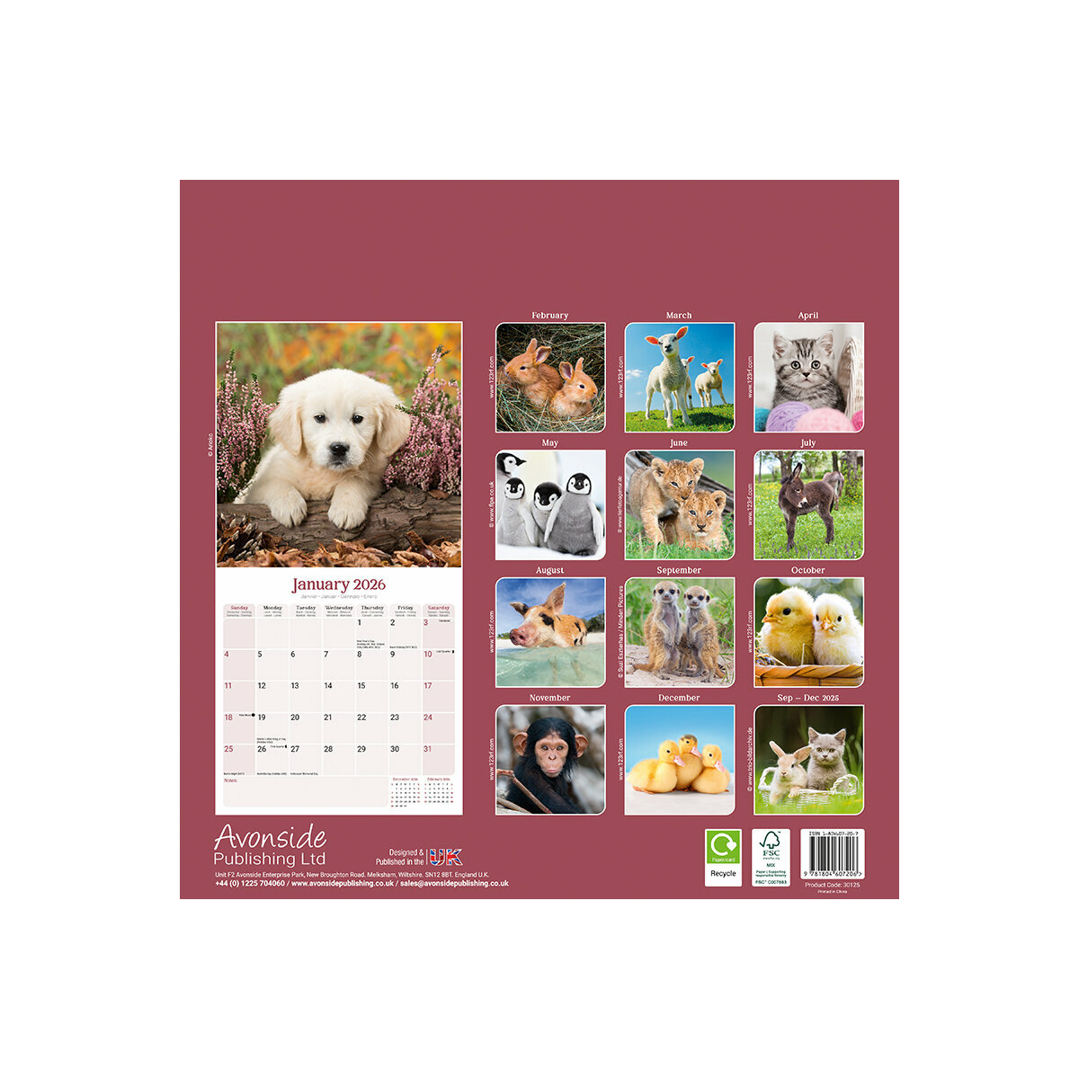 Calendrier 2025 : Un Agenda Solidaire au Service du Bien-Être Animal