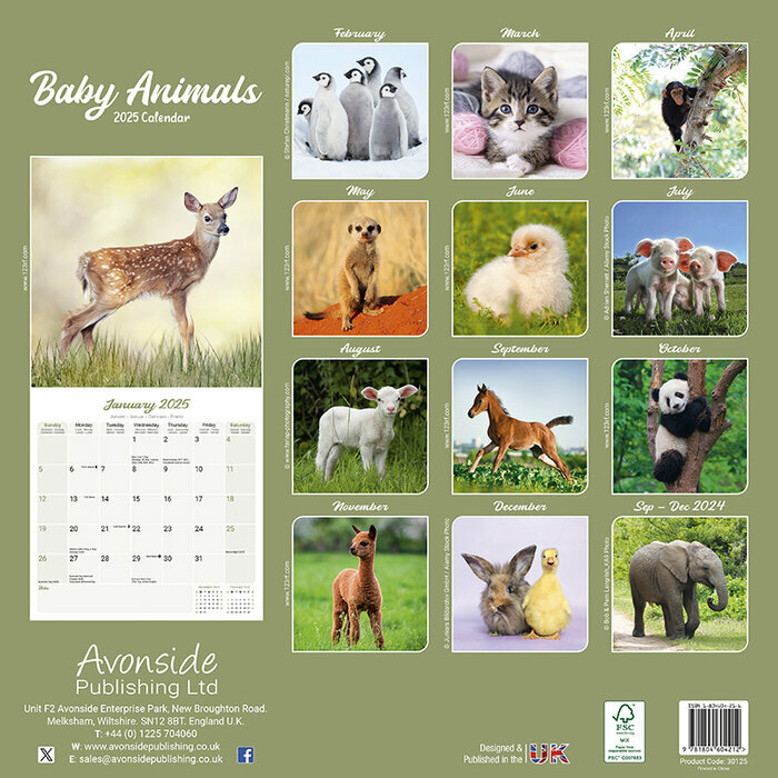 Calendrier Animaux Bb 2025