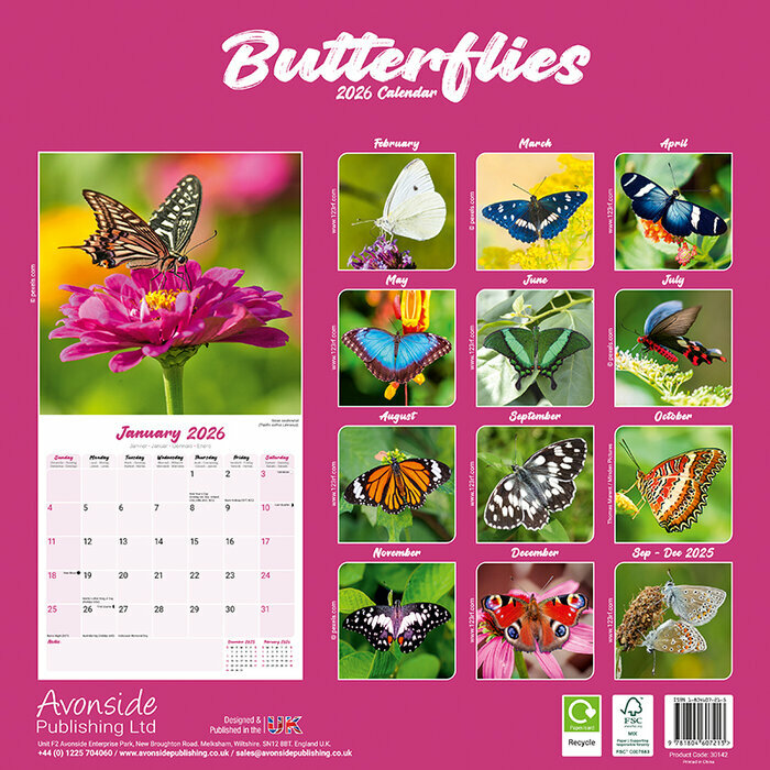 Calendrier Mural 2026 Papillon