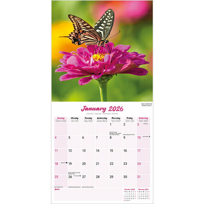 Calendrier Papier 2026 Papillon