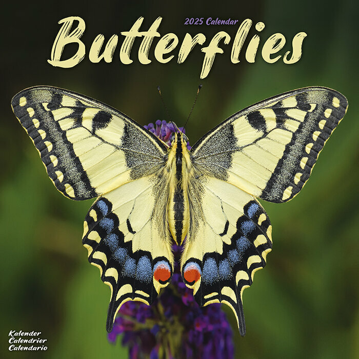 Calendrier Papillon Mural 2025