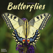 Calendrier Papillon Mural 2025