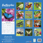 Calendrier Variétés Papillon 2025