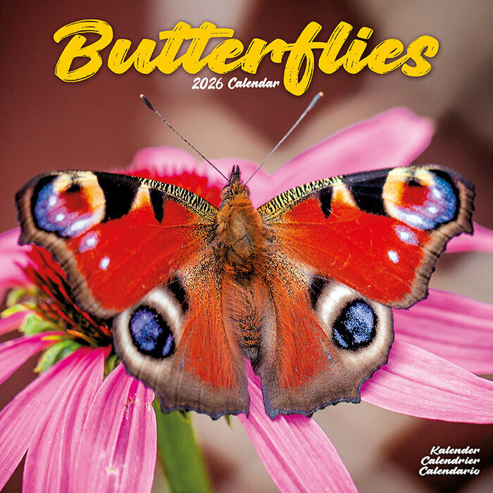 Calendrier 2026 Insecte Papillon