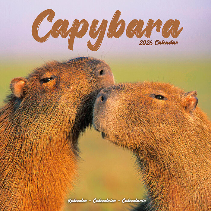 Calendrier Mural 2026 Capybara Cabiai