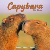Calendrier Mural 2026 Capybara Cabiai