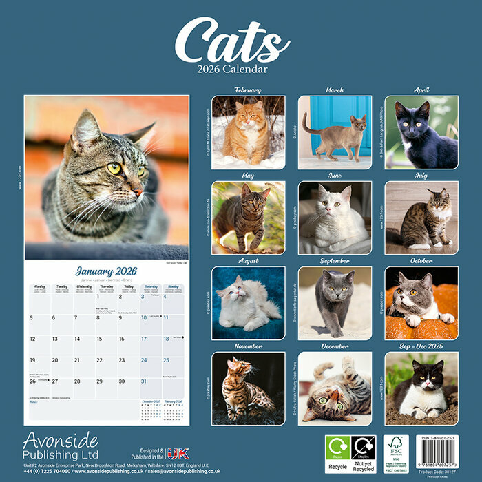 Calendrier Papier 2026 Chats toutes couleurs