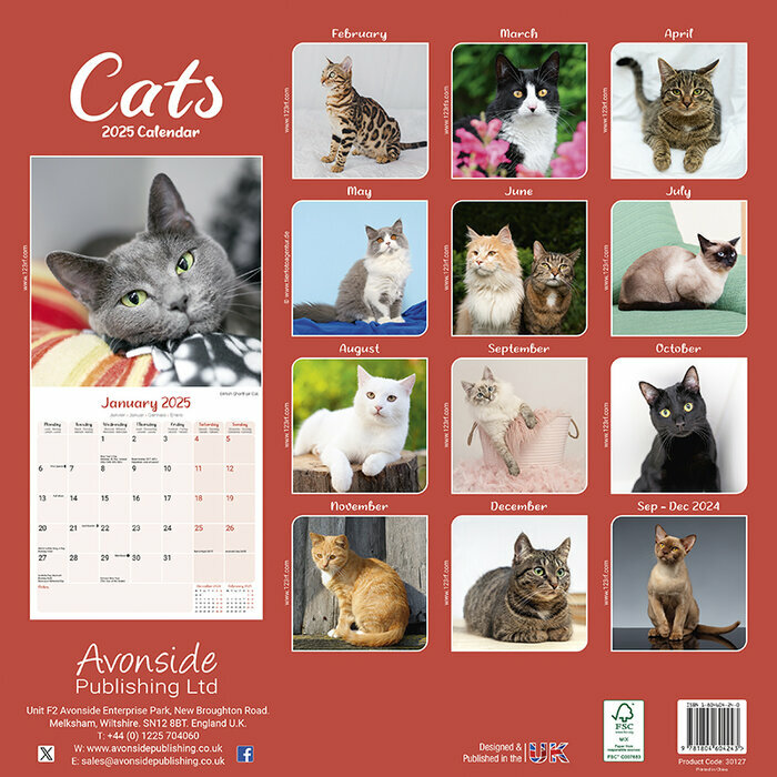 Calendrier Chat Couleurs Variées 2025