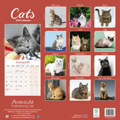 Calendrier Chat Couleurs Variées 2025