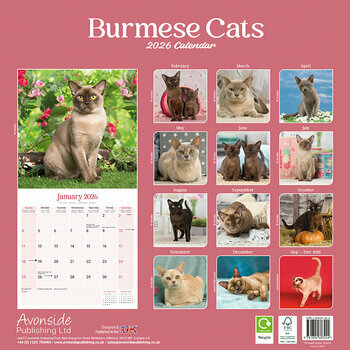 Calendrier 2025 Chat Burmese