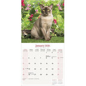 Calendrier 2026 Chat Burmese