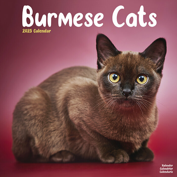 Calendrier Burmese 2025
