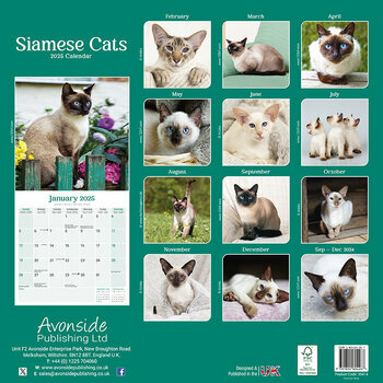 Calendrier 2025 Chat Siamois