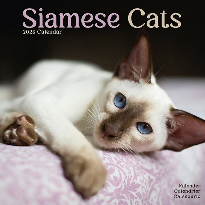 Calendrier Siamois 2025