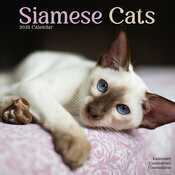 Calendrier Siamois 2025