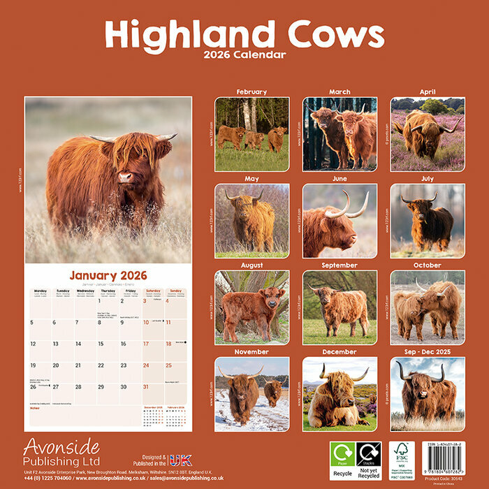 Calendrier Papier 2026 Vache Highland