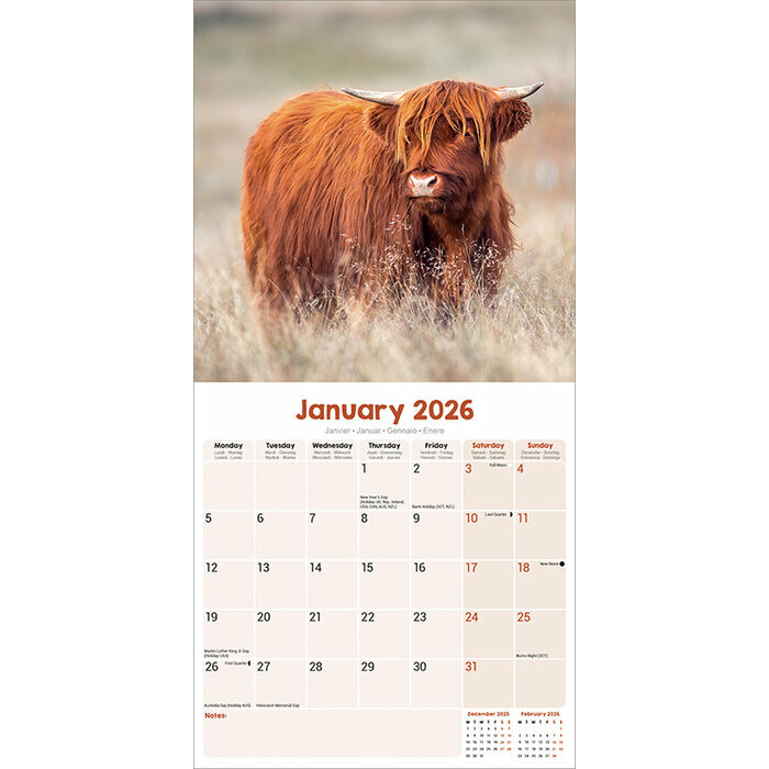 Calendrier 2026 Vache Highland