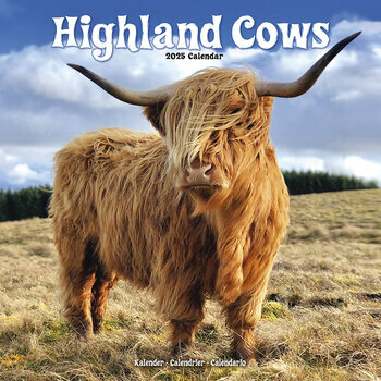 Calendrier 2025 Vache Highland