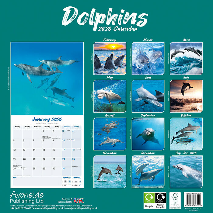 Calendrier Papier 2026 Dauphin
