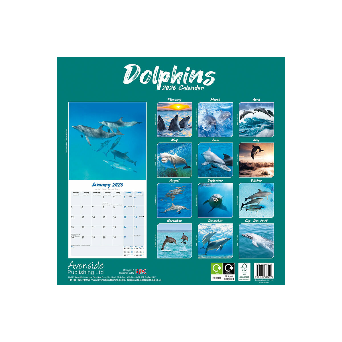 Calendrier Mural 2025 Mammifères Marins Dauphin Cétacé