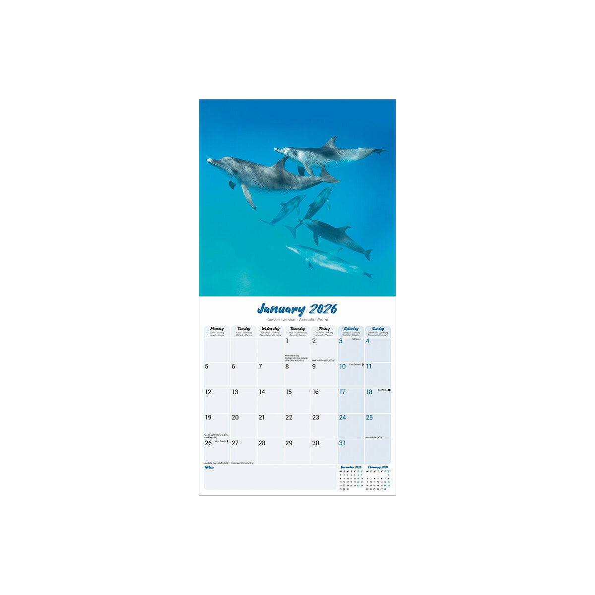 Calendrier Mural 2025 Mammifères Marins Dauphin Cétacé
