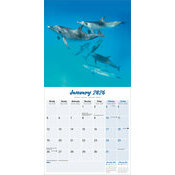 Calendrier 2026 Dauphin