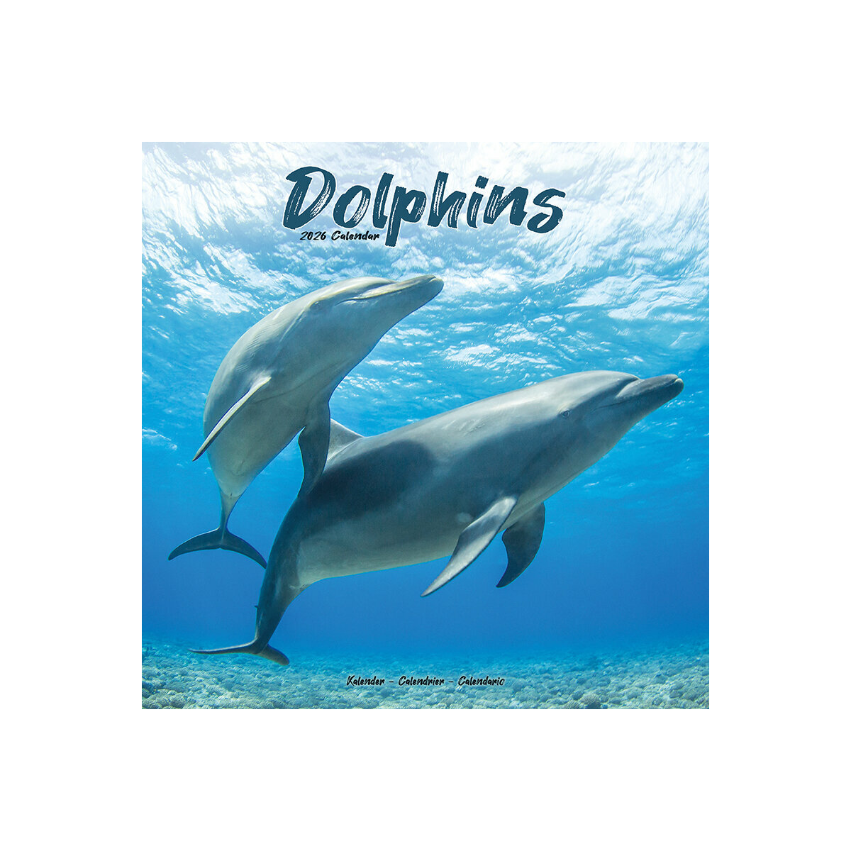 Calendrier Mural 2025 Mammifères Marins Dauphin Cétacé