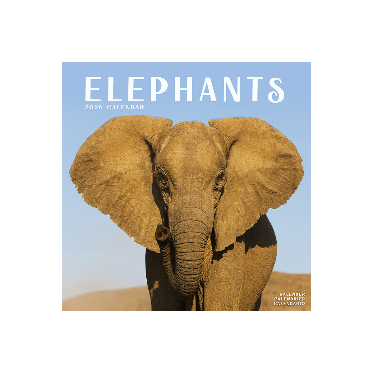 Calendrier Mural 2025 Elephants Afrique Savane Elephanteau