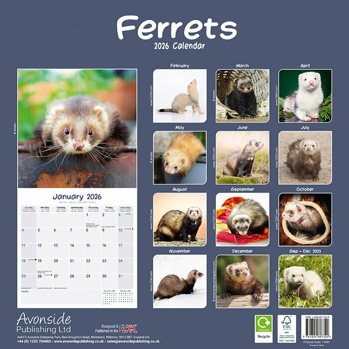Calendrier Papier 2026 Furet