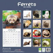 Calendrier Papier 2026 Furet