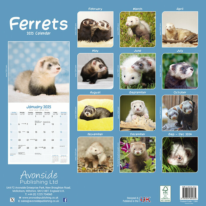 Calendrier Mural Furets 2025