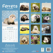 Calendrier Mural Furets 2025