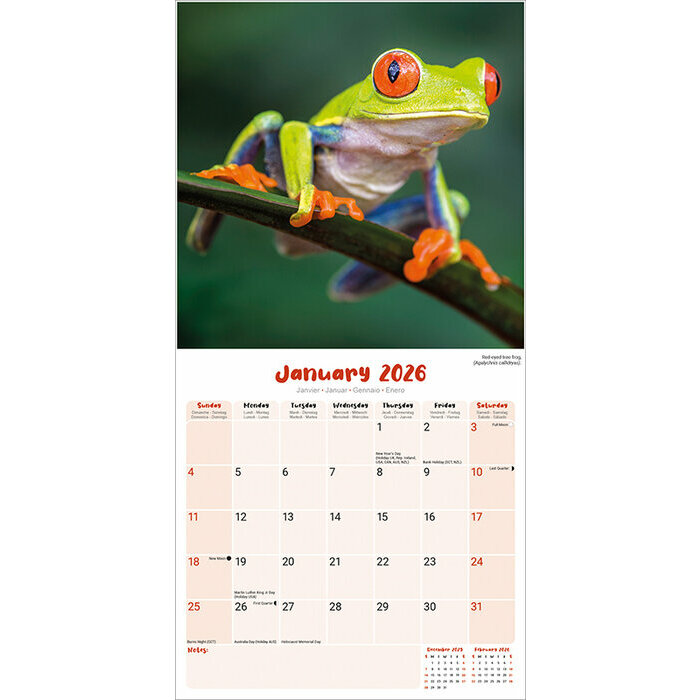 Calendrier 2026 Grenouille