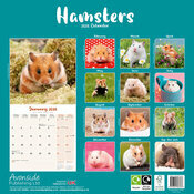 Calendrier Papier 2026 Hamster fleu