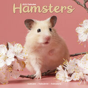 Calendrier 2025 Hamster fleur