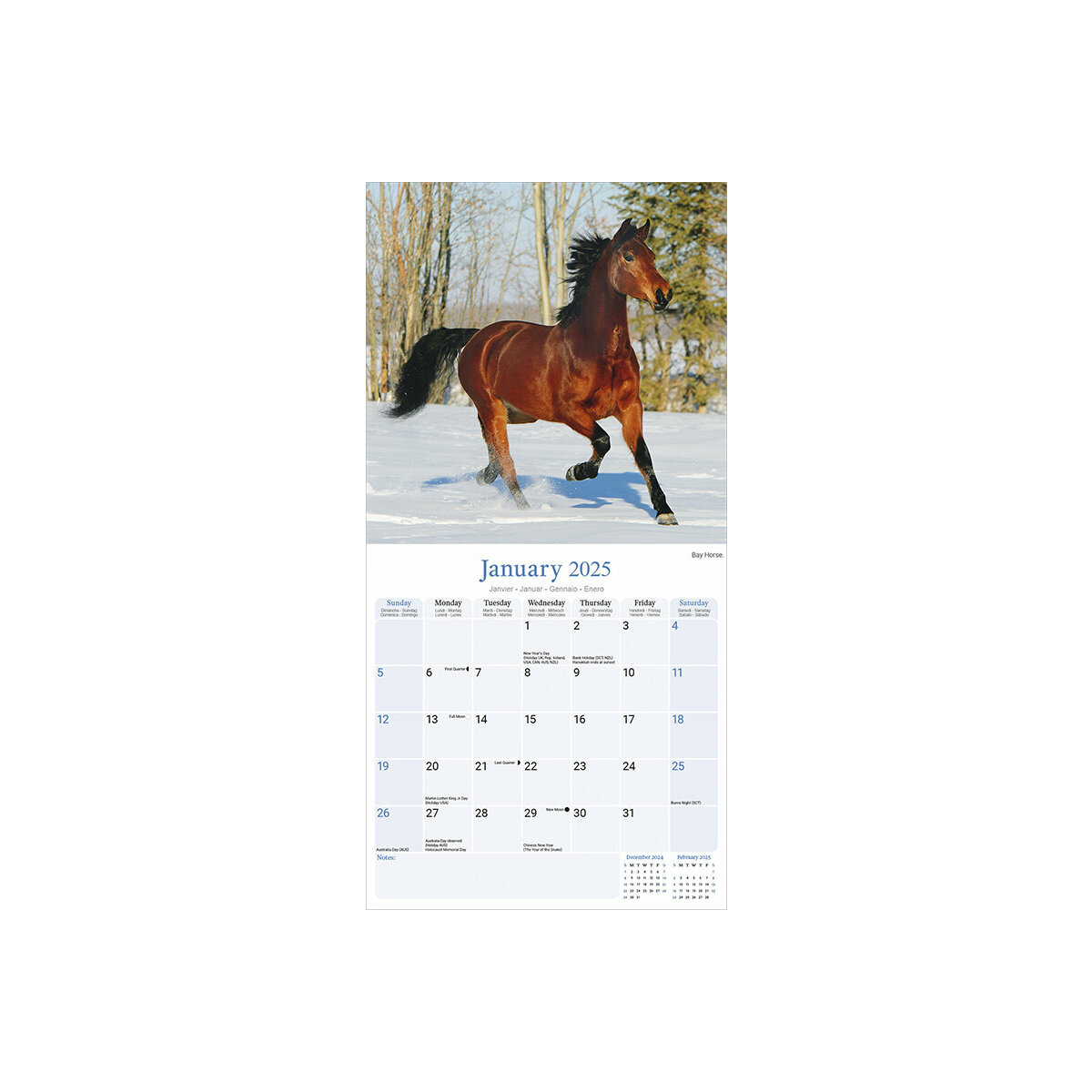 Calendrier Mural 2025 Cheval Equitation Chevaux Equestre