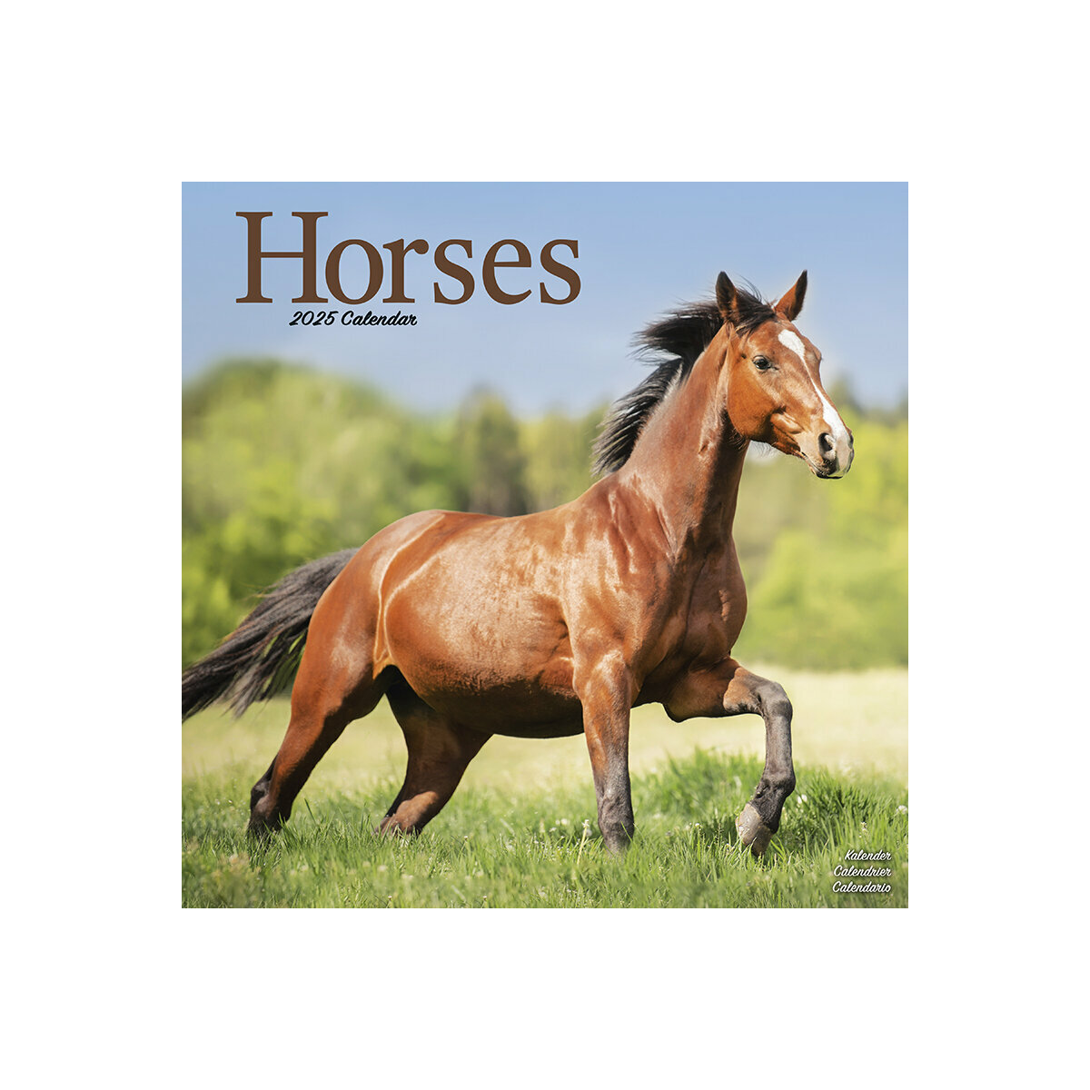 Calendrier Mural 2025 Cheval Equitation Chevaux Equestre