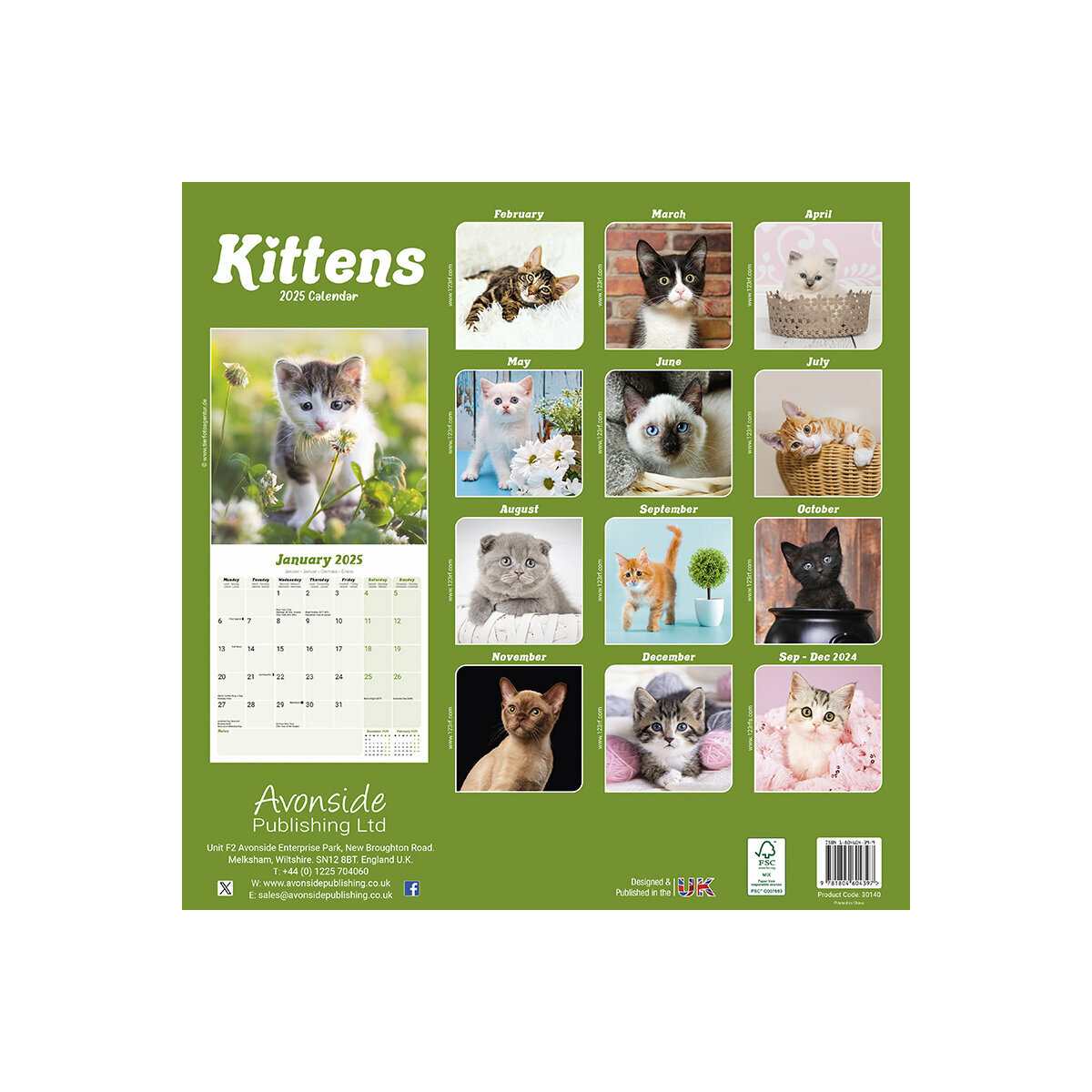 Calendrier Mural 2025 Bébés Chat Chaton Félins Mignon
