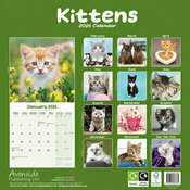 Calendrier 2025 Chatons