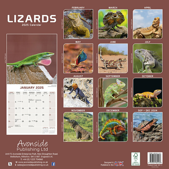 Calendrier 2025 Lzard