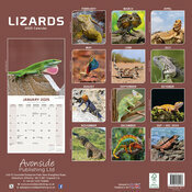 Calendrier 2025 Lzard