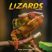 Calendrier Mural 2026 Lzard Camlon