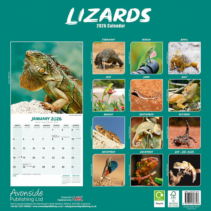 Calendrier Papier 2026 Lzard Camlon