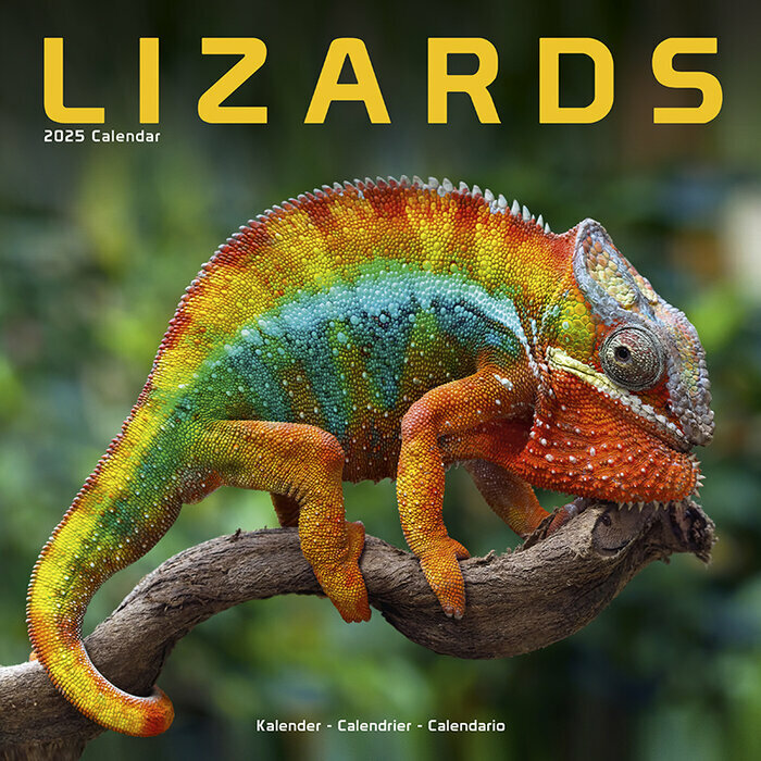 Calendrier 2025 Lzard Camlon