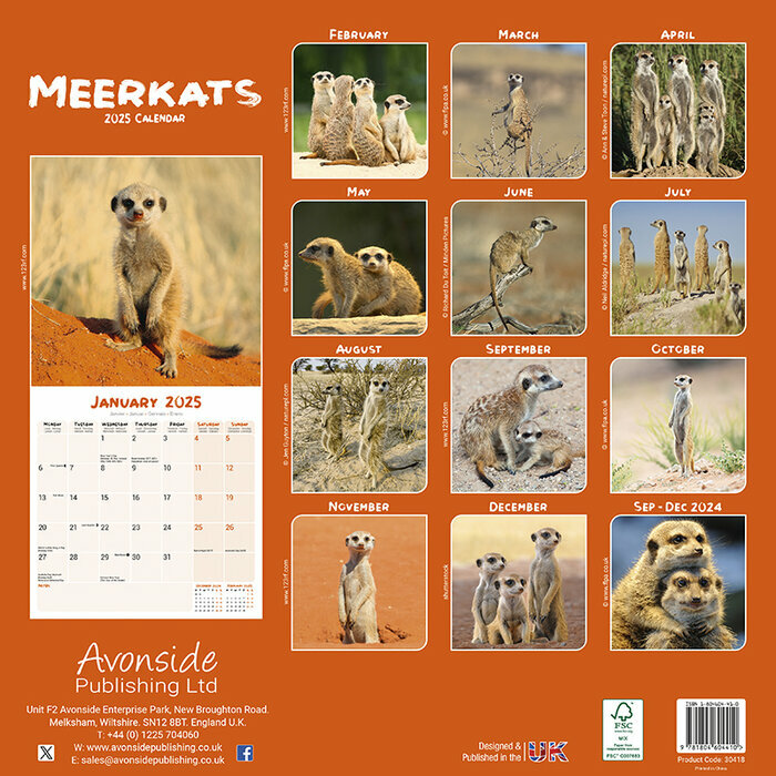 Calendrier 2025 Papier Suricate