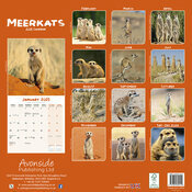 Calendrier 2025 Papier Suricate