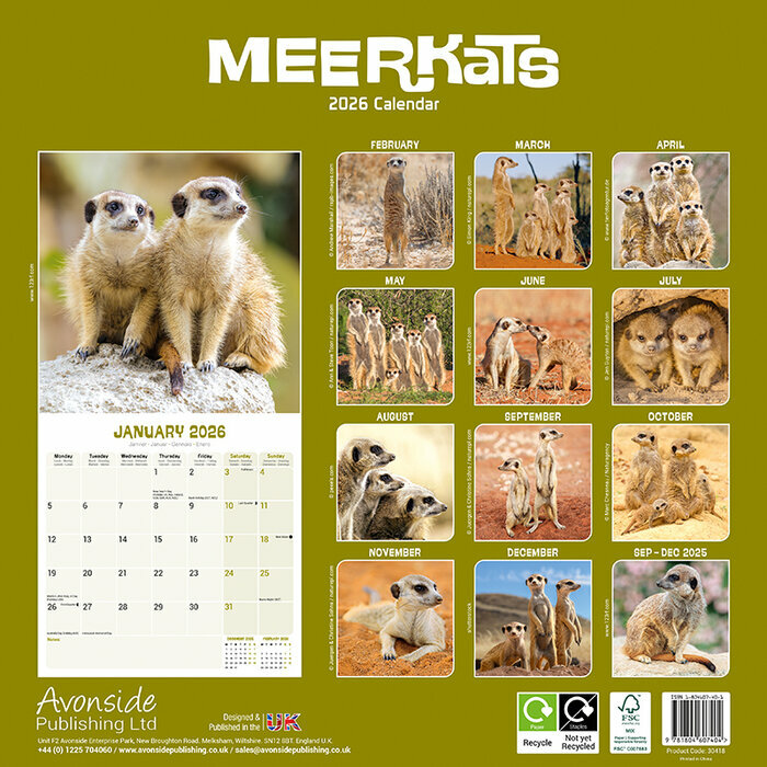 Calendrier Papier 2026 Suricate